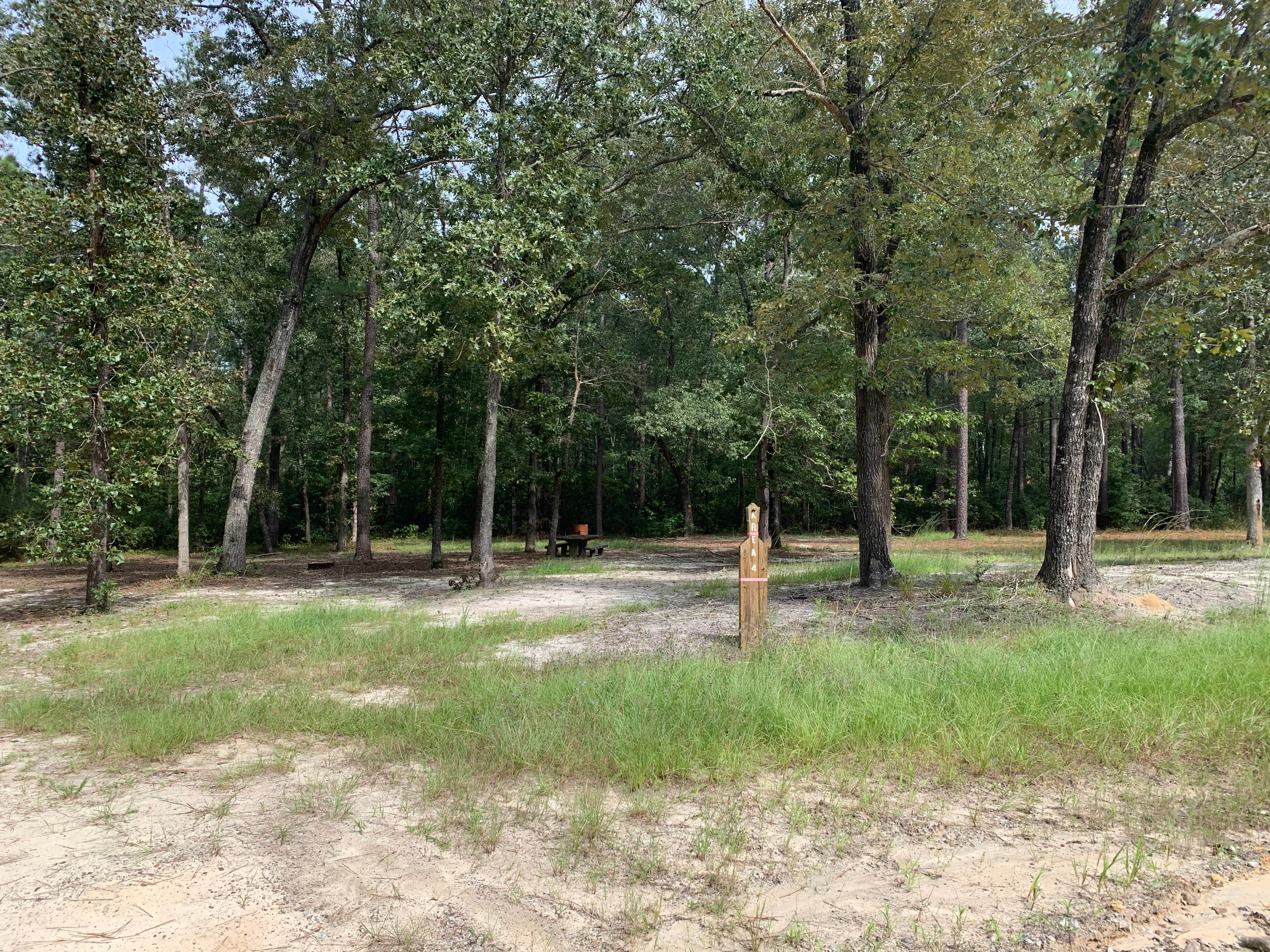 Site 4
