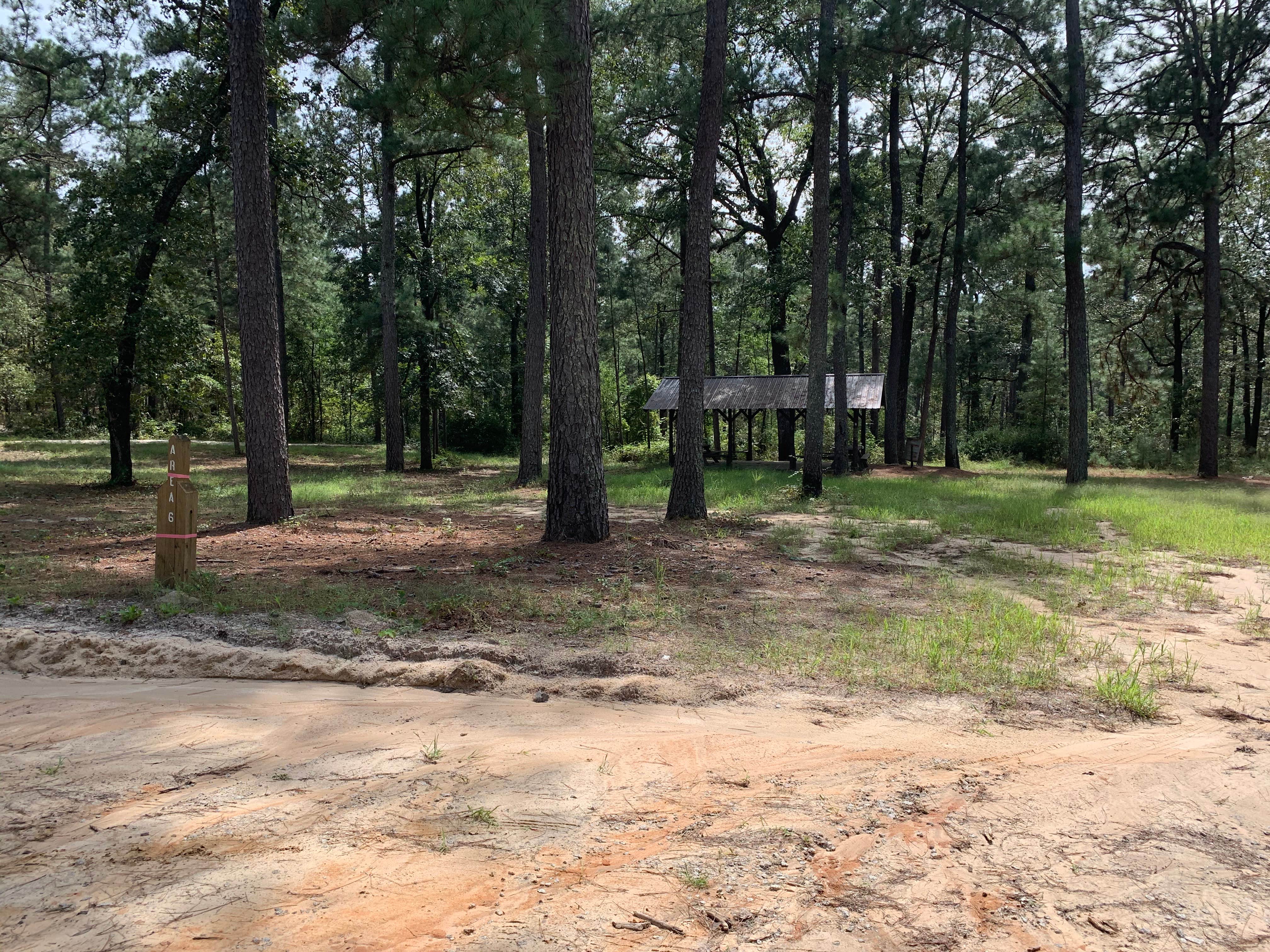 Site 6