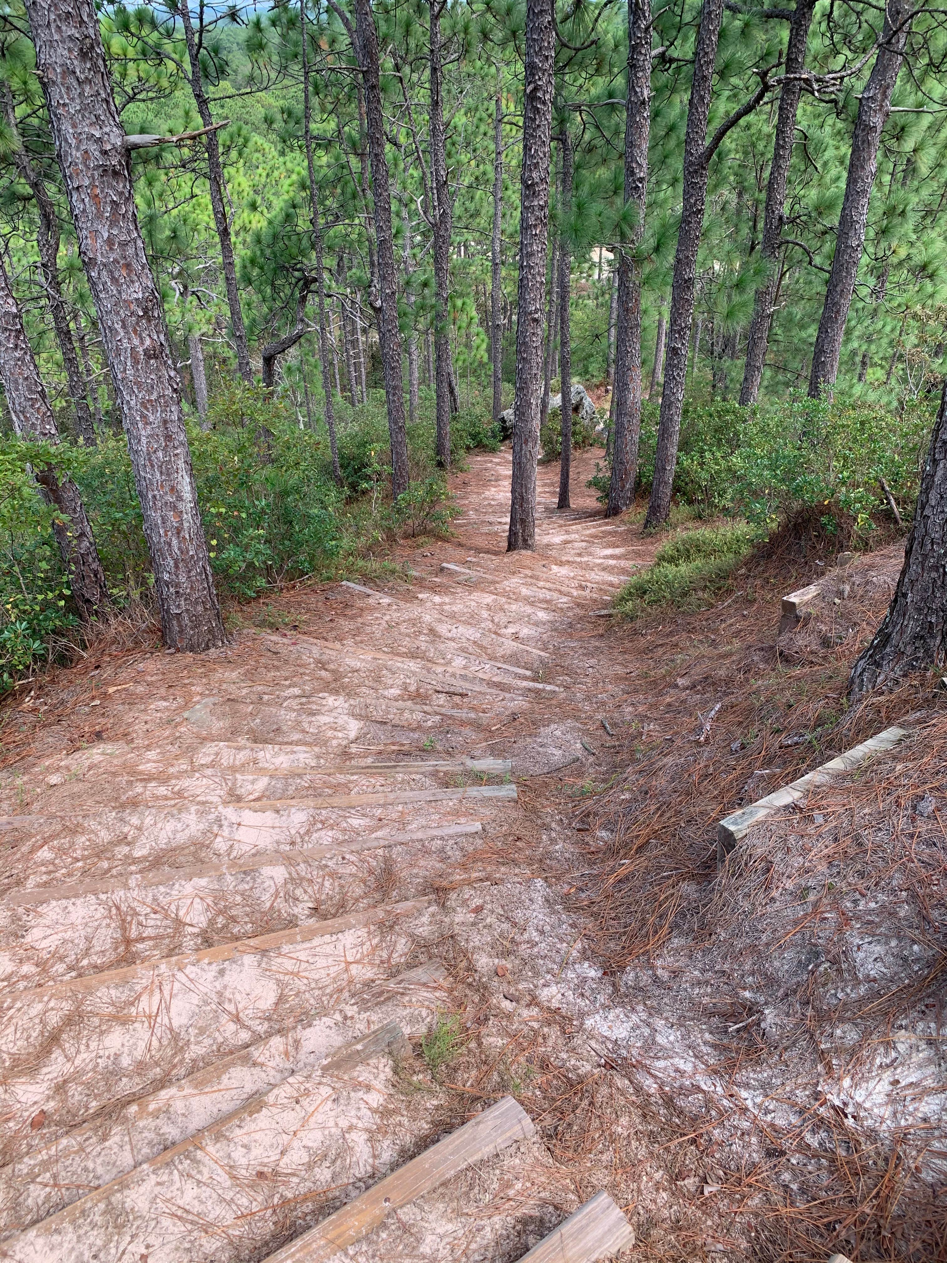 Camper-submitted photo at Sugarloaf Mountain near Rockingham, NC