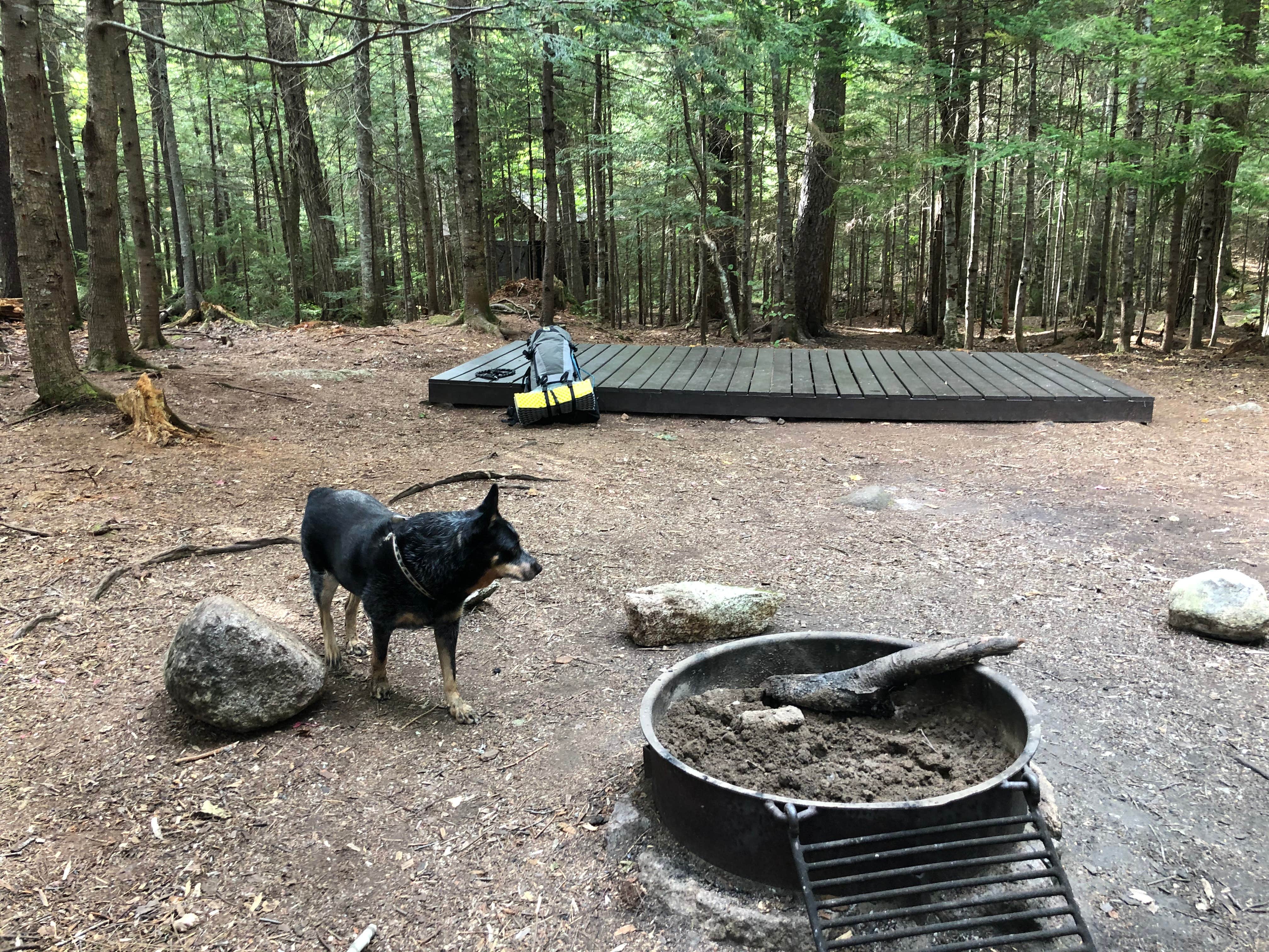 Hunter P.'s photo of camping with pets at Sawyer Pond near White Mountain National Forest