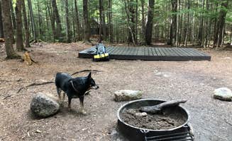 Hunter P.'s photo of camping with pets at Sawyer Pond in New Hampshire