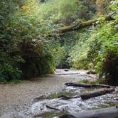 Review photo of Gold Bluffs Beach Campground — Prairie Creek Redwoods State Park by MarinMaverick , September 20, 2020