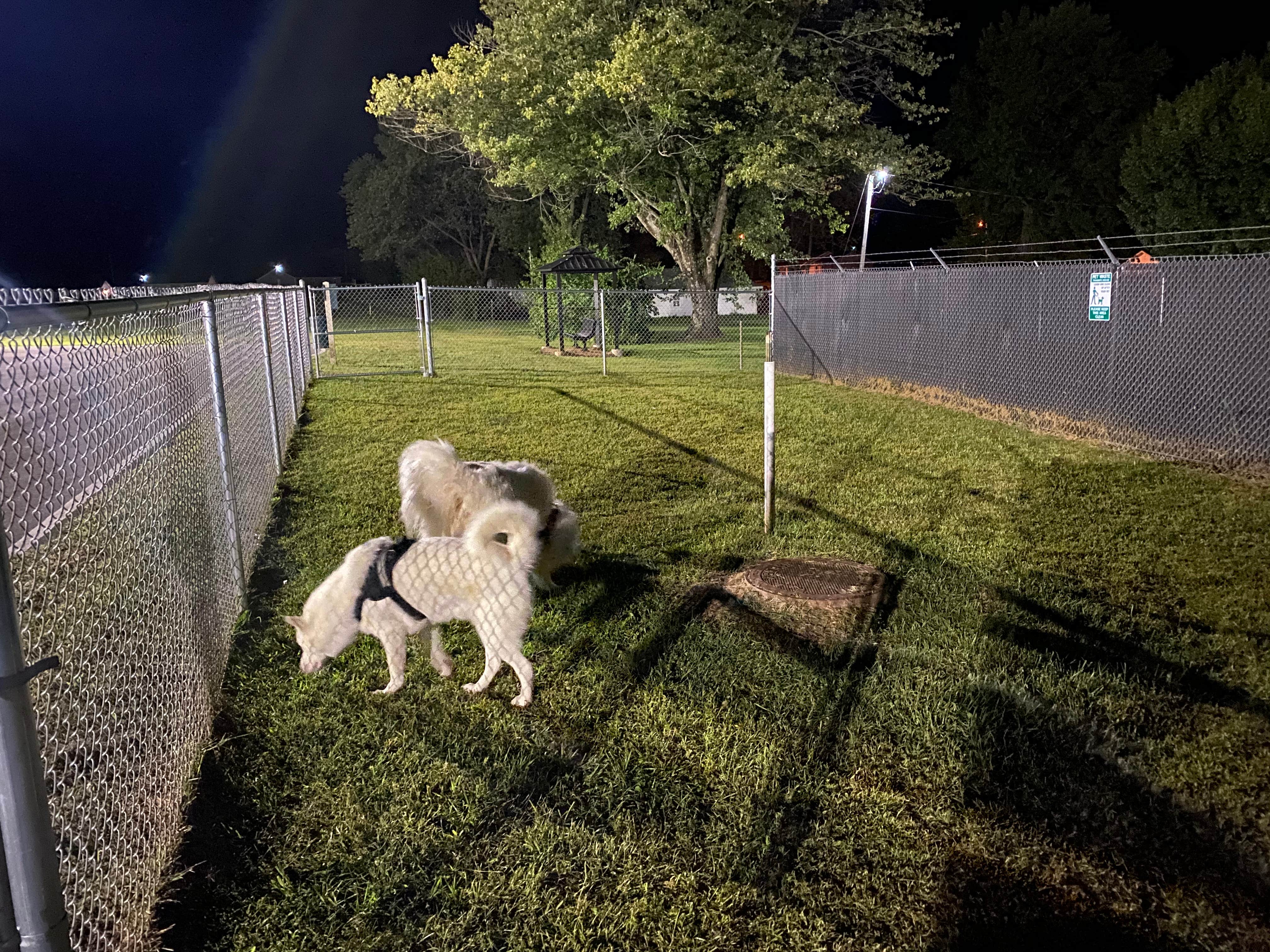 Never Sitting S.'s photo of camping with pets at RV Self-Park near Wappapello Lake