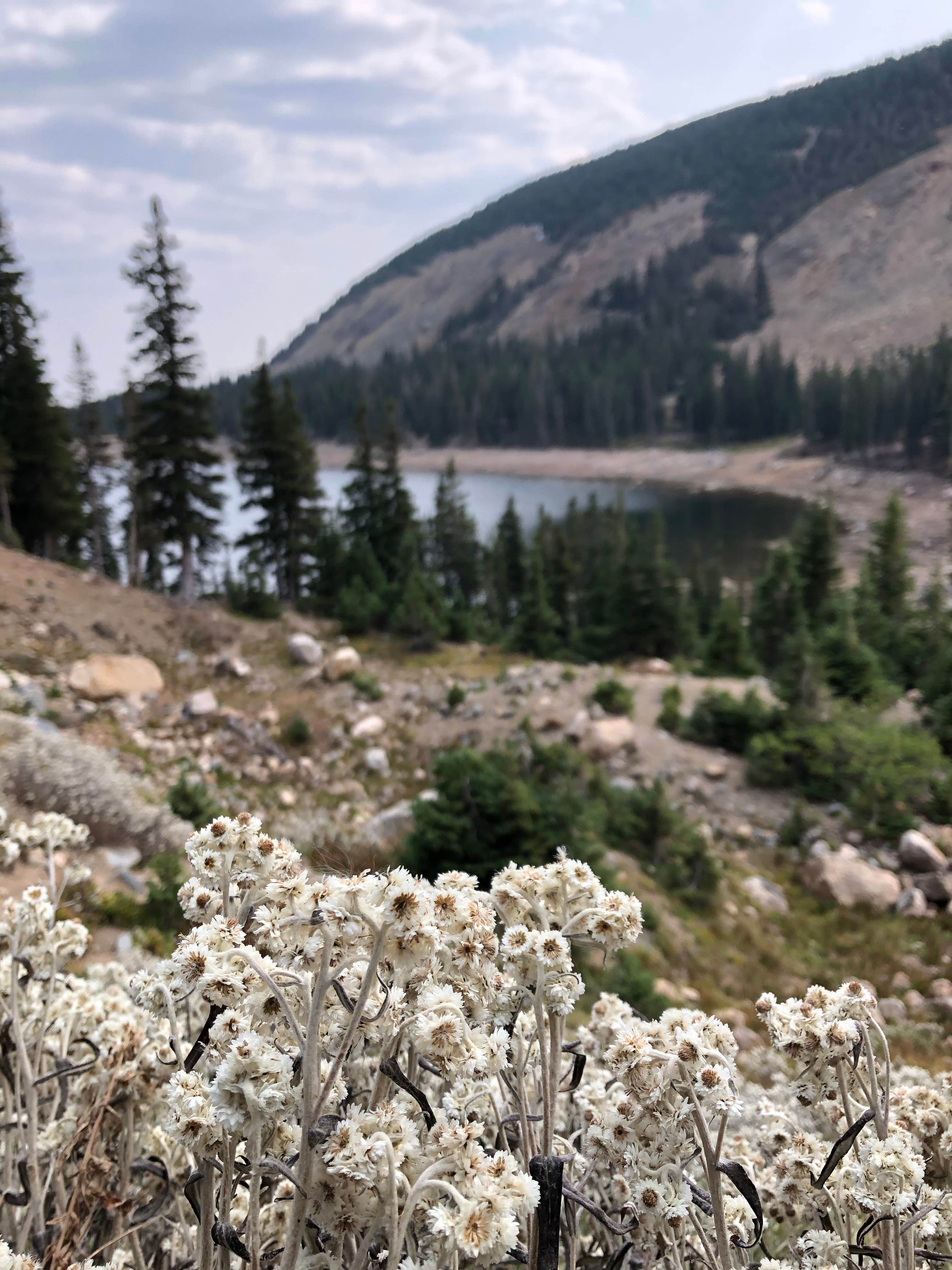 Camper-submitted photo at Chinns Lake Dispersed Camping near Silver Plume, CO