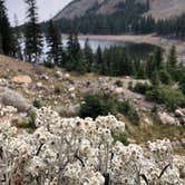 Review photo of Chinns Lake Dispersed Camping by Meg G., September 20, 2020