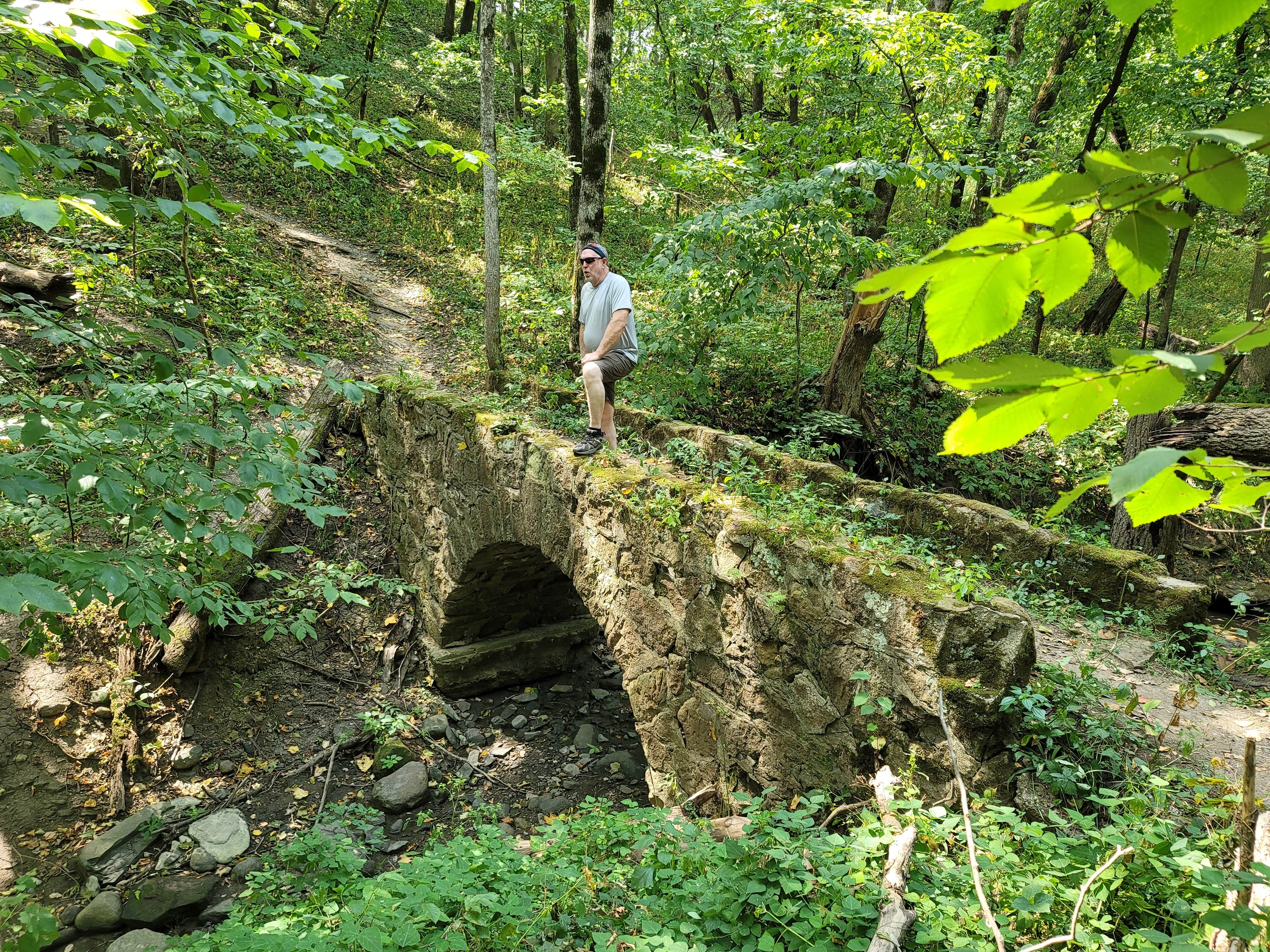 Camper submitted image from Dolliver Memorial State Park Campground - 5