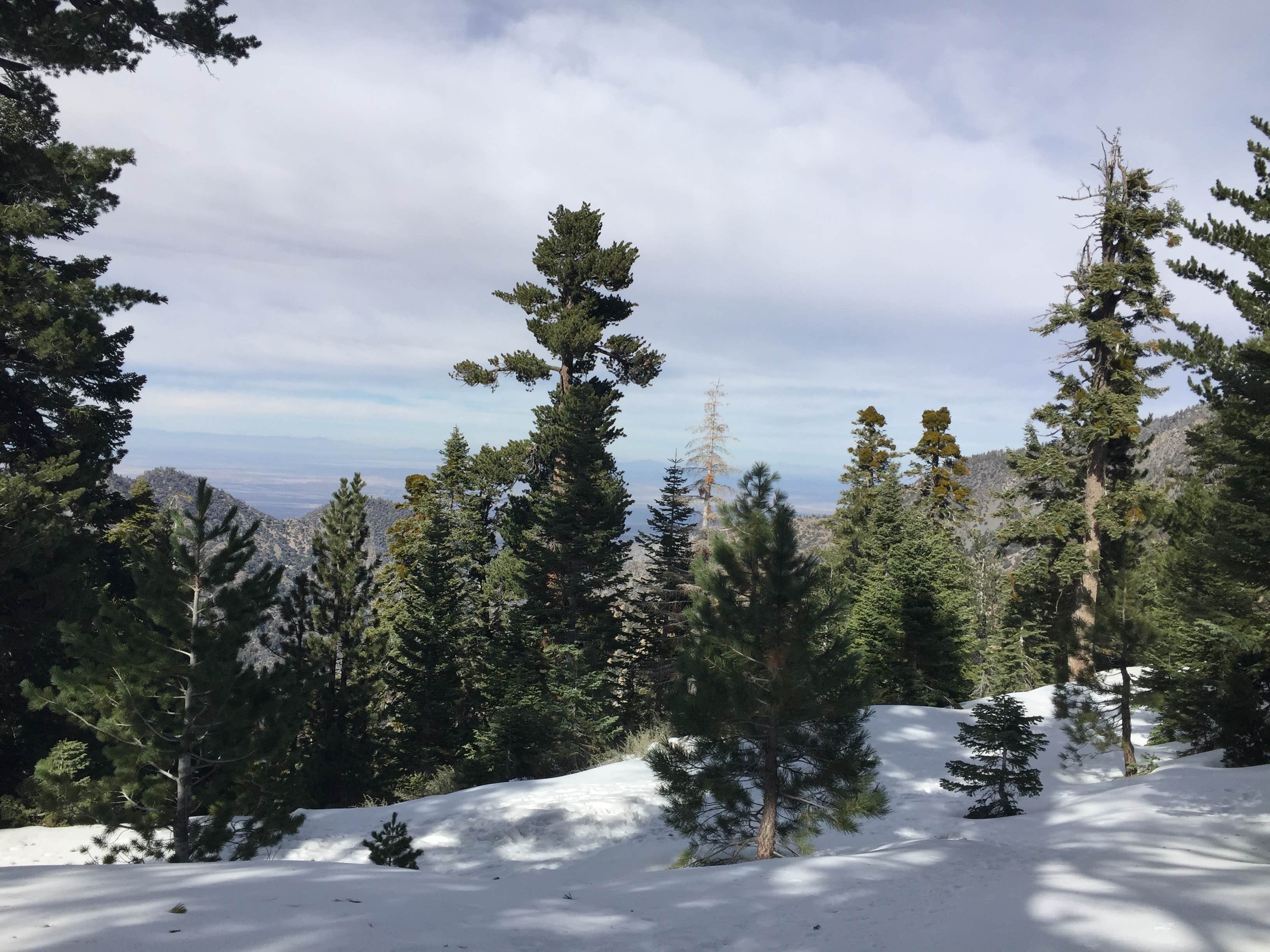 Camper-submitted photo at Little Jimmy Trail Campground near Lancaster, CA