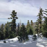 Review photo of Little Jimmy Trail Campground - CLOSED DUE TO FIRE by Tony  C., September 20, 2020