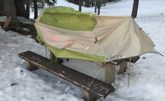 Tony  C.'s photo of tent camping at Little Jimmy Trail Campground near Wrightwood, CA