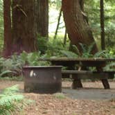 Review photo of Elk Prairie Campground — Prairie Creek Redwoods State Park by MarinMaverick , September 20, 2020