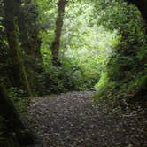 Review photo of Elk Prairie Campground — Prairie Creek Redwoods State Park by MarinMaverick , September 20, 2020