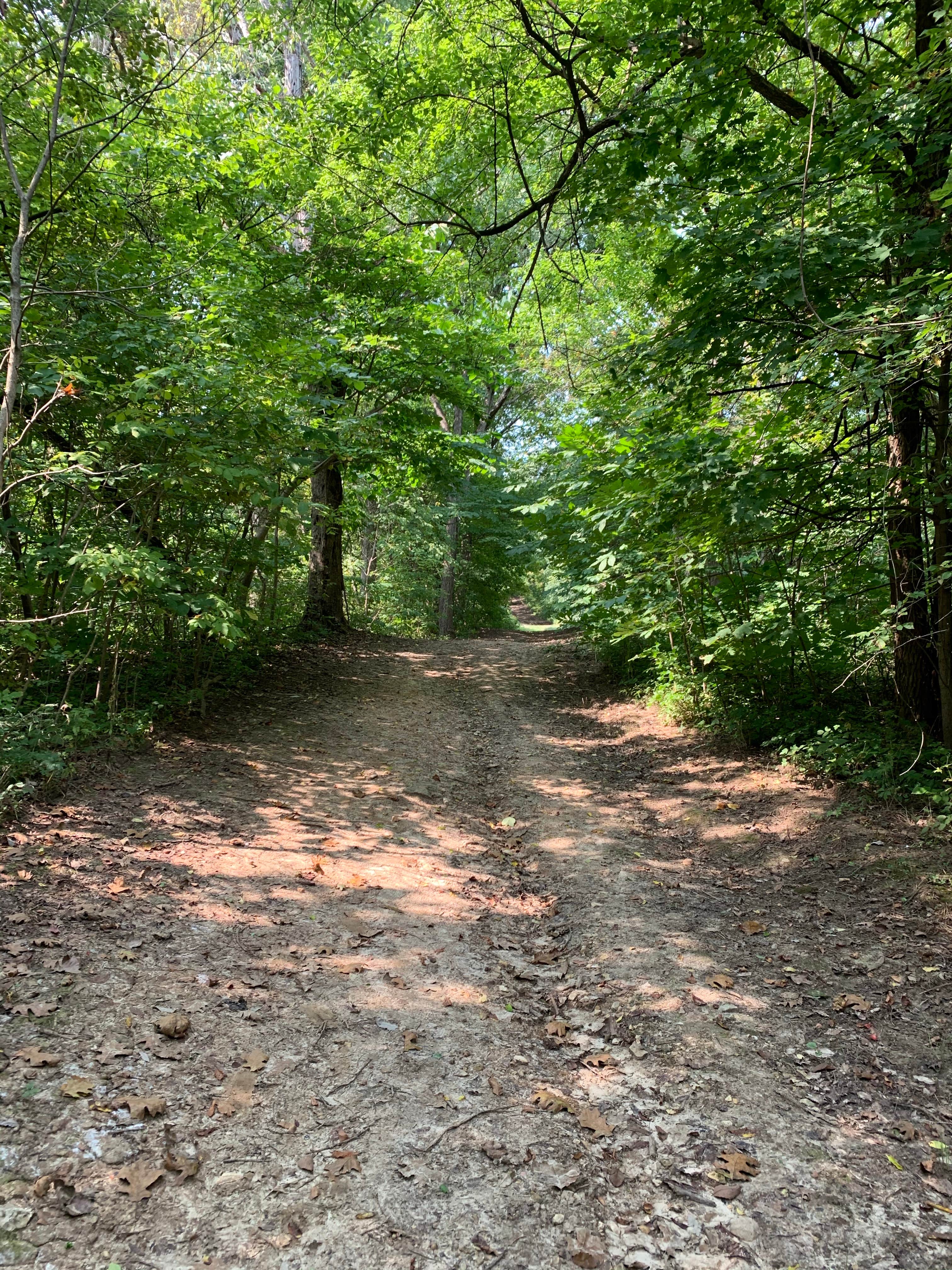 Camper-submitted photo at Mark Twain Cave & Campground near Louisiana, MO