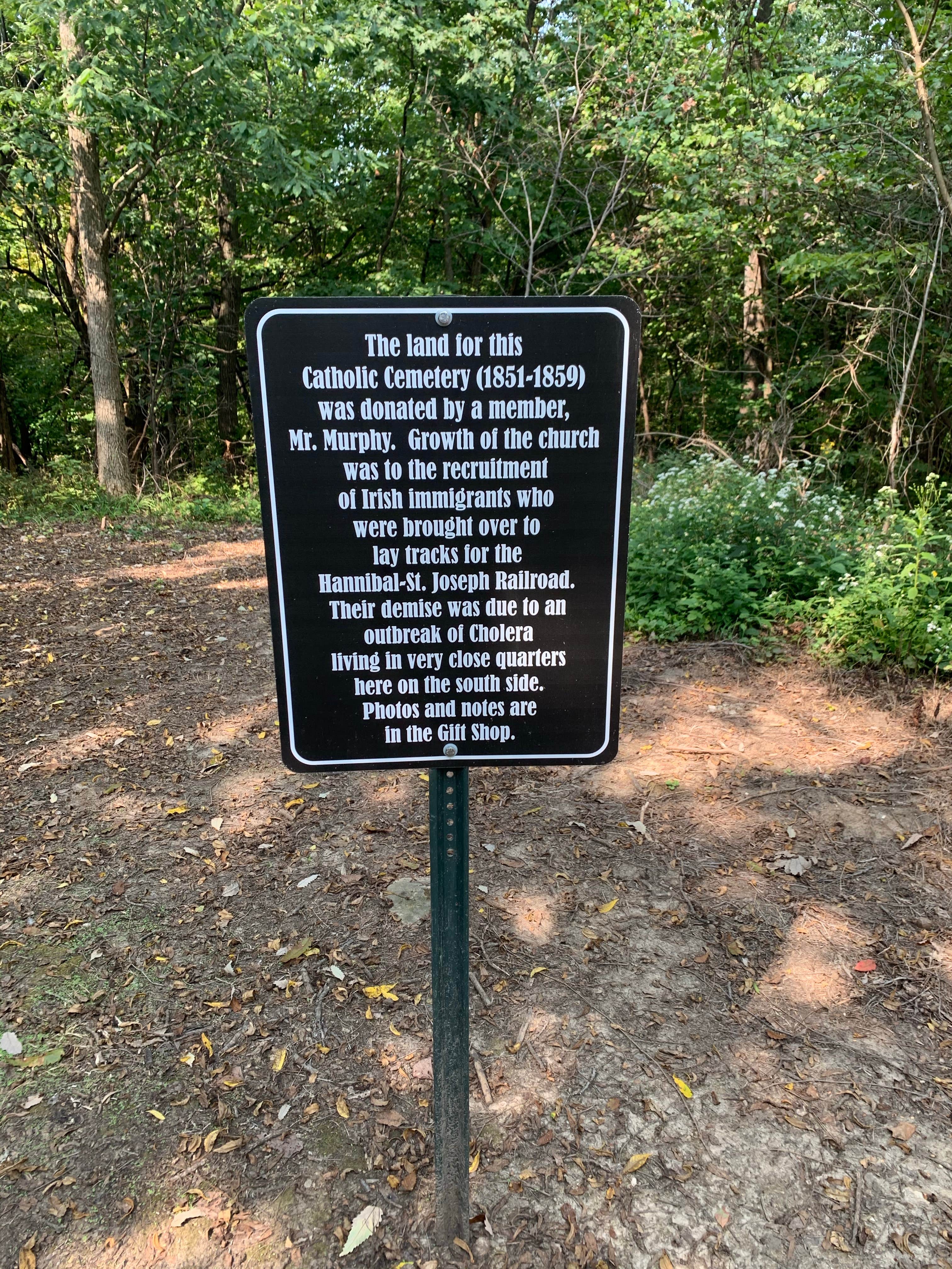 Camper-submitted photo at Mark Twain Cave & Campground near Louisiana, MO