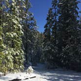 Review photo of Cooper Canyon Trail Campground by Tony  C., June 24, 2019