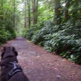Review photo of Jim Thorpe Camping Resort by Angela , September 20, 2020
