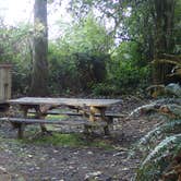 Review photo of Abalone Campground — Sue-meg State Park by MarinMaverick , September 20, 2020