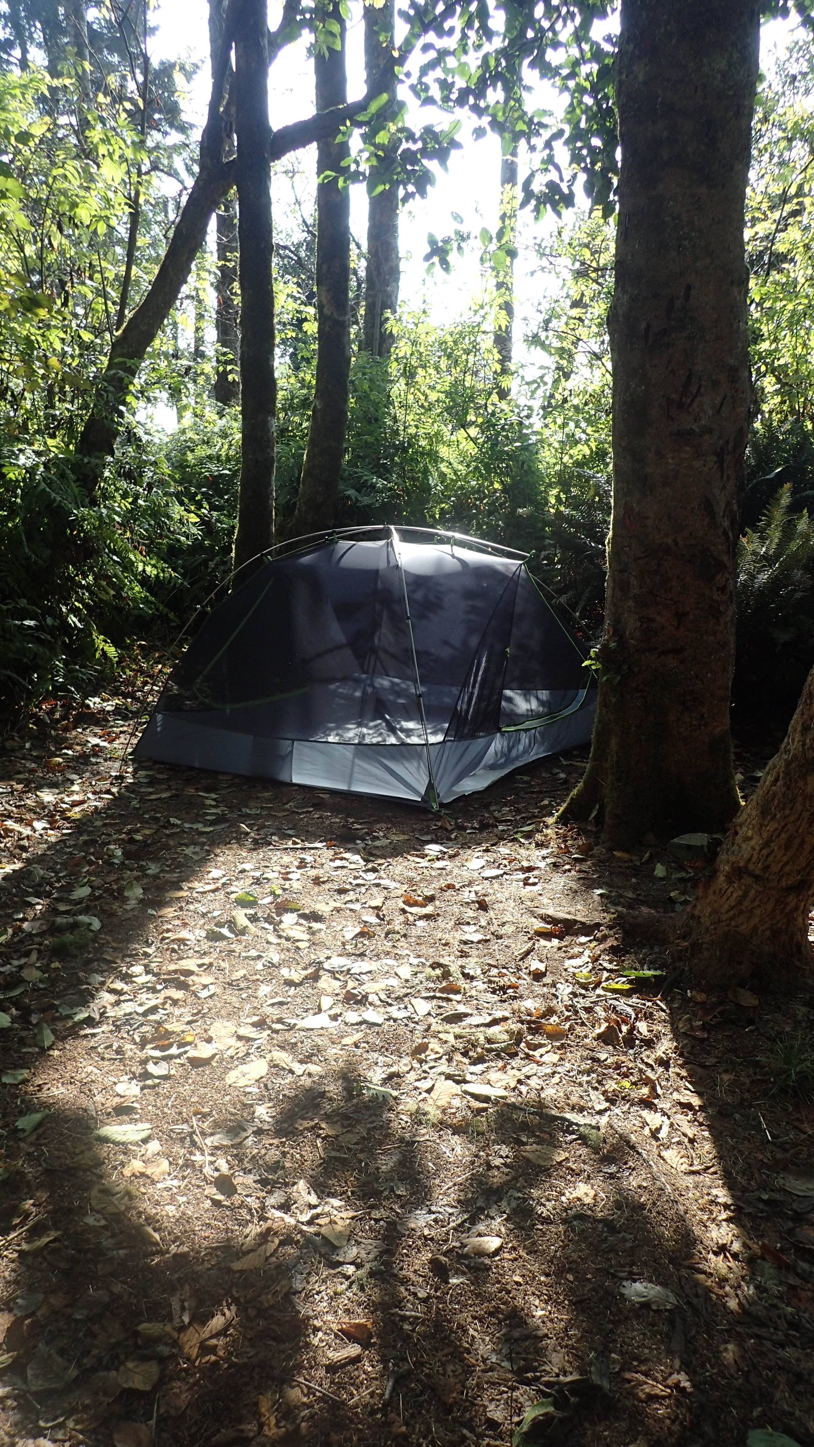 MarinMaverick's photo at Abalone Campground — Sue-meg State Park near McKinleyville, CA