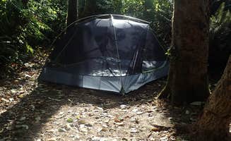 MarinMaverick's photo at Abalone Campground — Sue-meg State Park near McKinleyville, CA