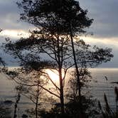 Review photo of Abalone Campground — Sue-meg State Park by MarinMaverick , September 20, 2020