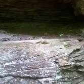 Review photo of Kentuck Campground — Ohiopyle State Park by Doreen M., July 8, 2016