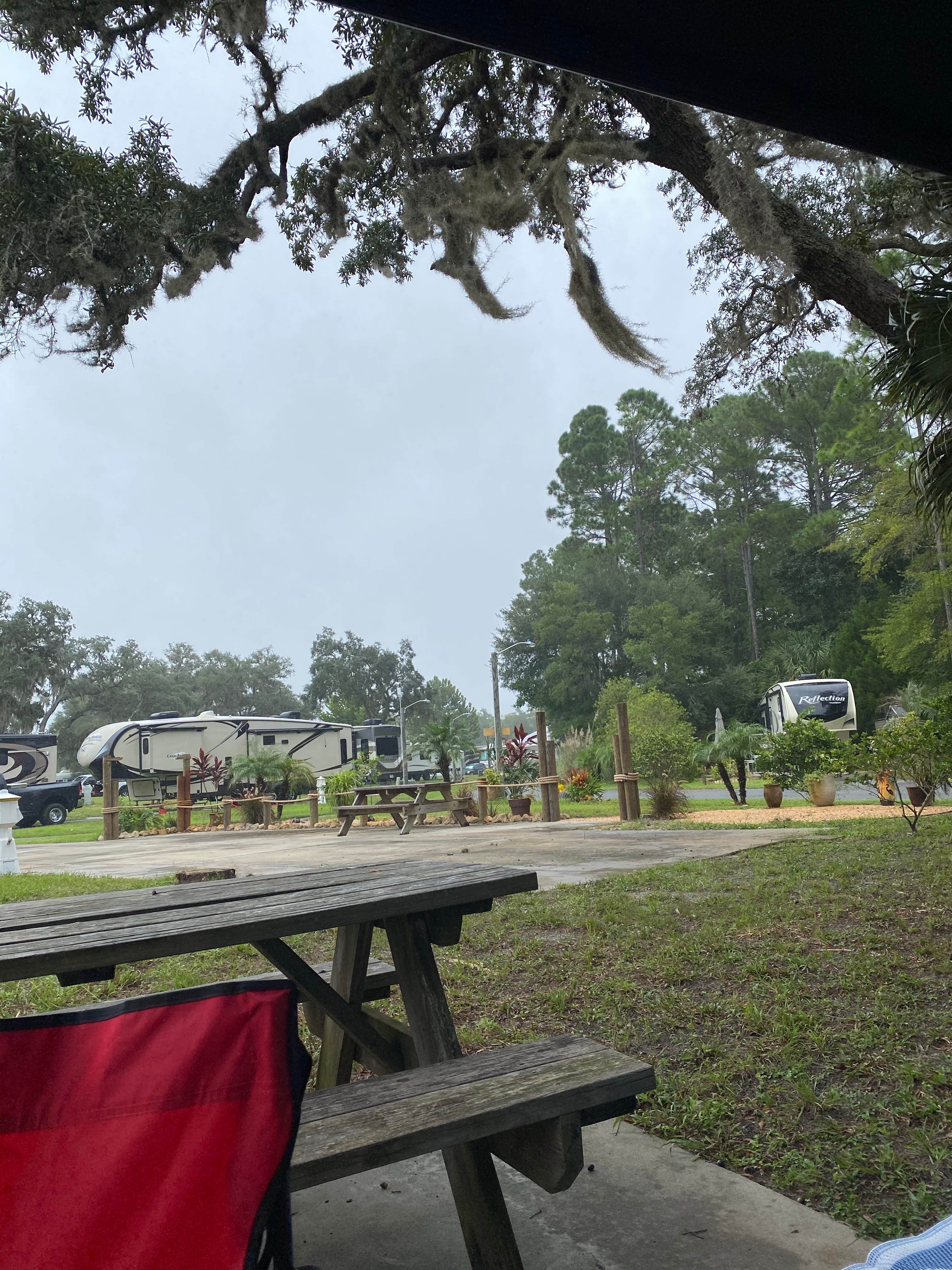 Camper submitted image from Cedar Key RV Resort - 3