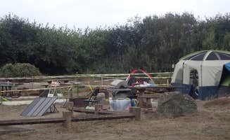 MarinMaverick's photo at Clam Beach County Park near Six Rivers National Forest