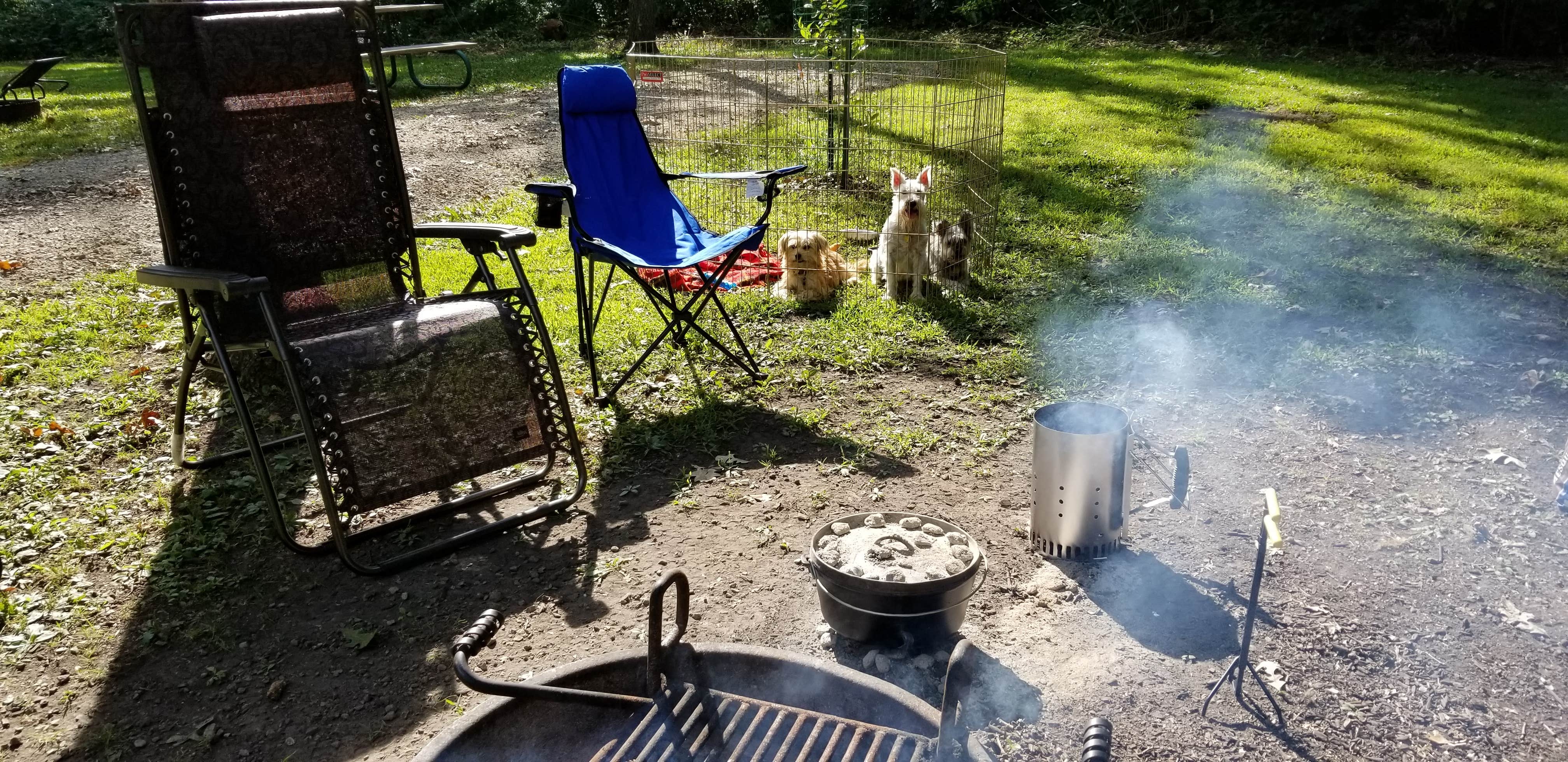 Camper submitted image from McIntosh Woods State Park Campground - 5