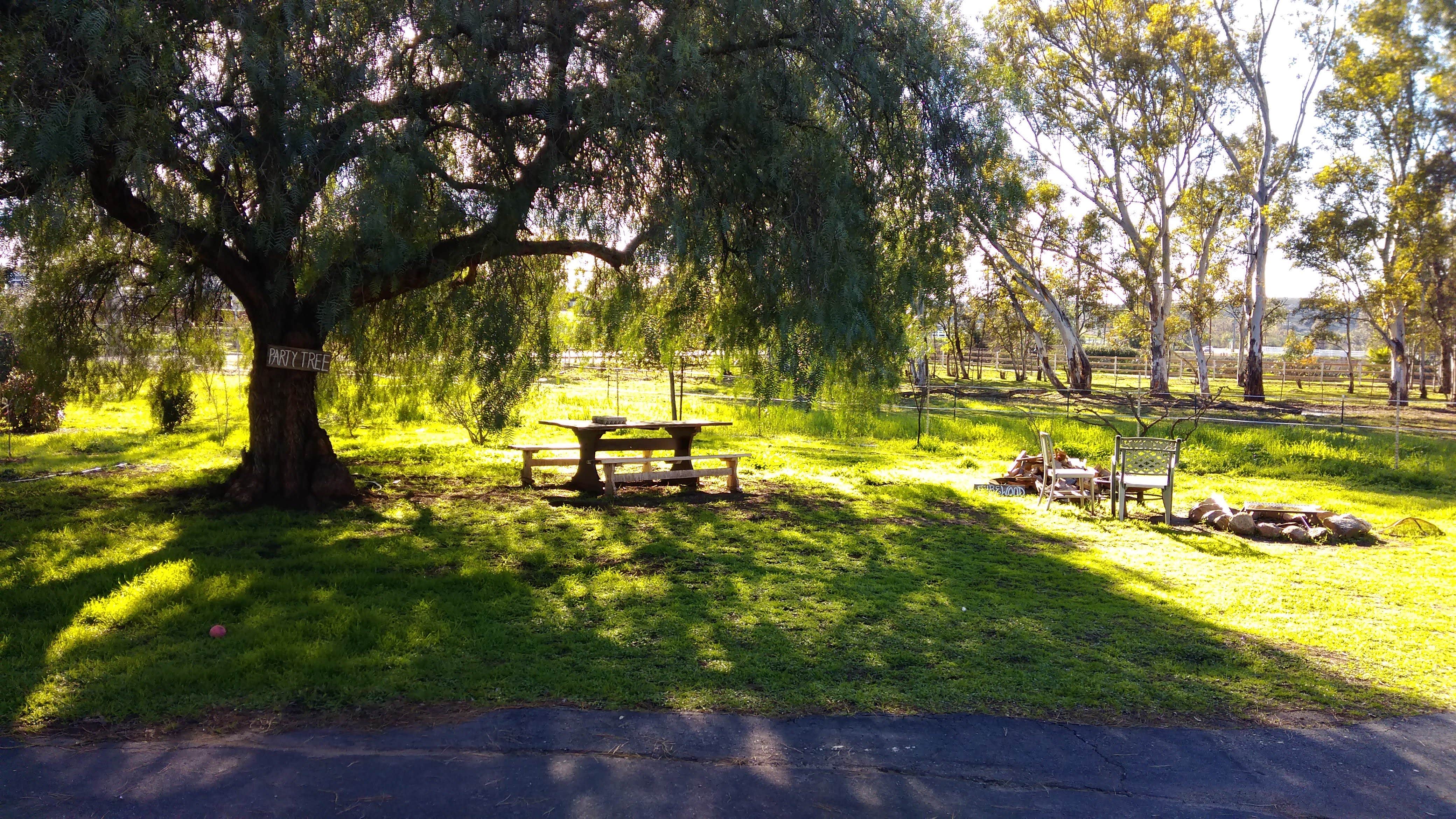 Camper-submitted photo at The Eyrie Farm near Julian, CA