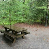 Review photo of Pisgah National Forest Davidson River Campground by Amurican L., September 20, 2020