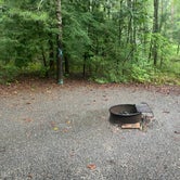 Review photo of Pisgah National Forest Davidson River Campground by Amurican L., September 20, 2020