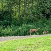 Review photo of Skamokawa Vista Park by Maggie , September 20, 2020