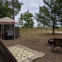 Ossineke State Forest Campground