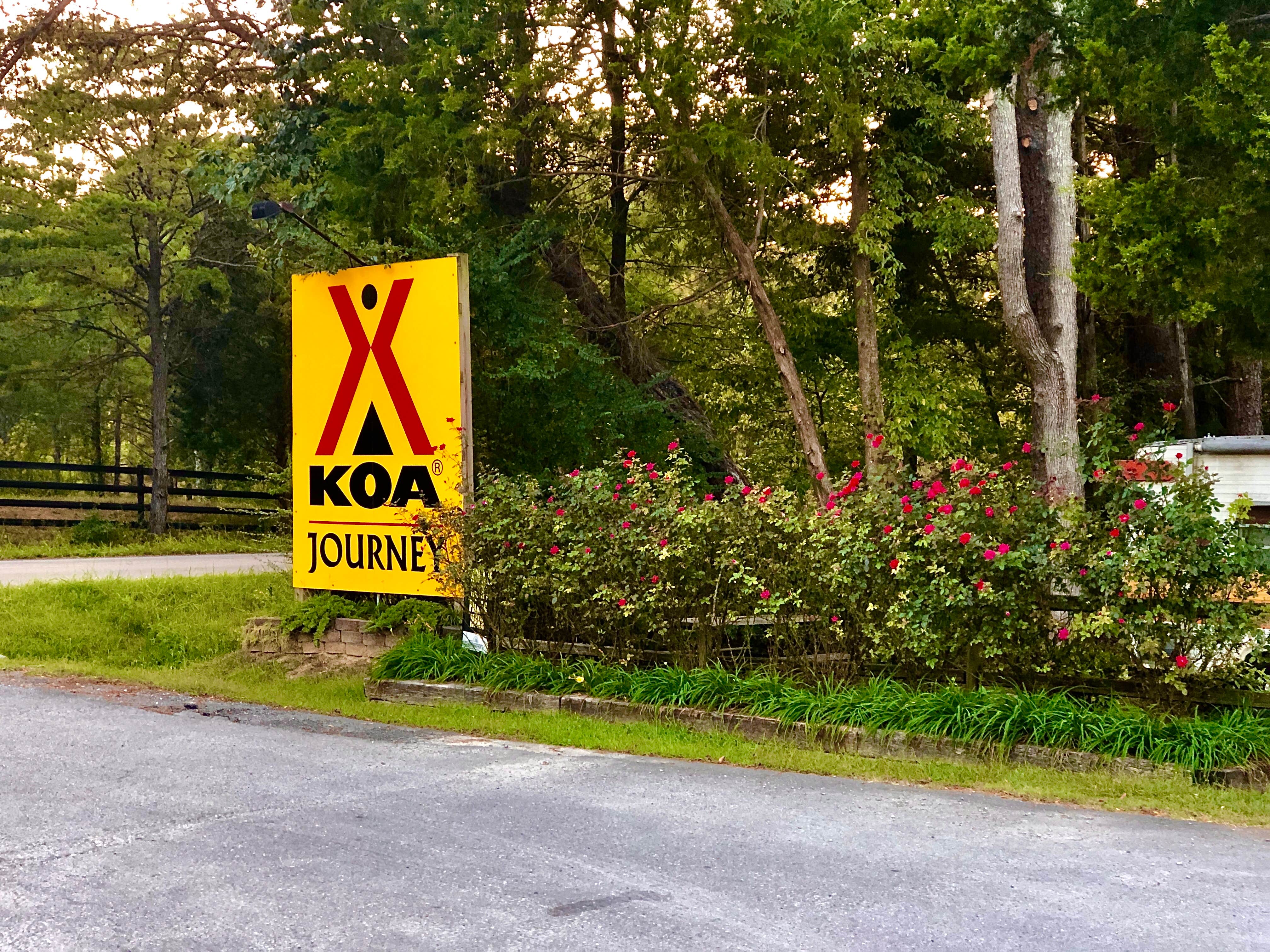 Camper submitted image from Chattanooga North-Cleveland KOA - 5