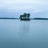 Review photo of Modoc - J Strom Thurmond Lake by Frank  M., September 15, 2020