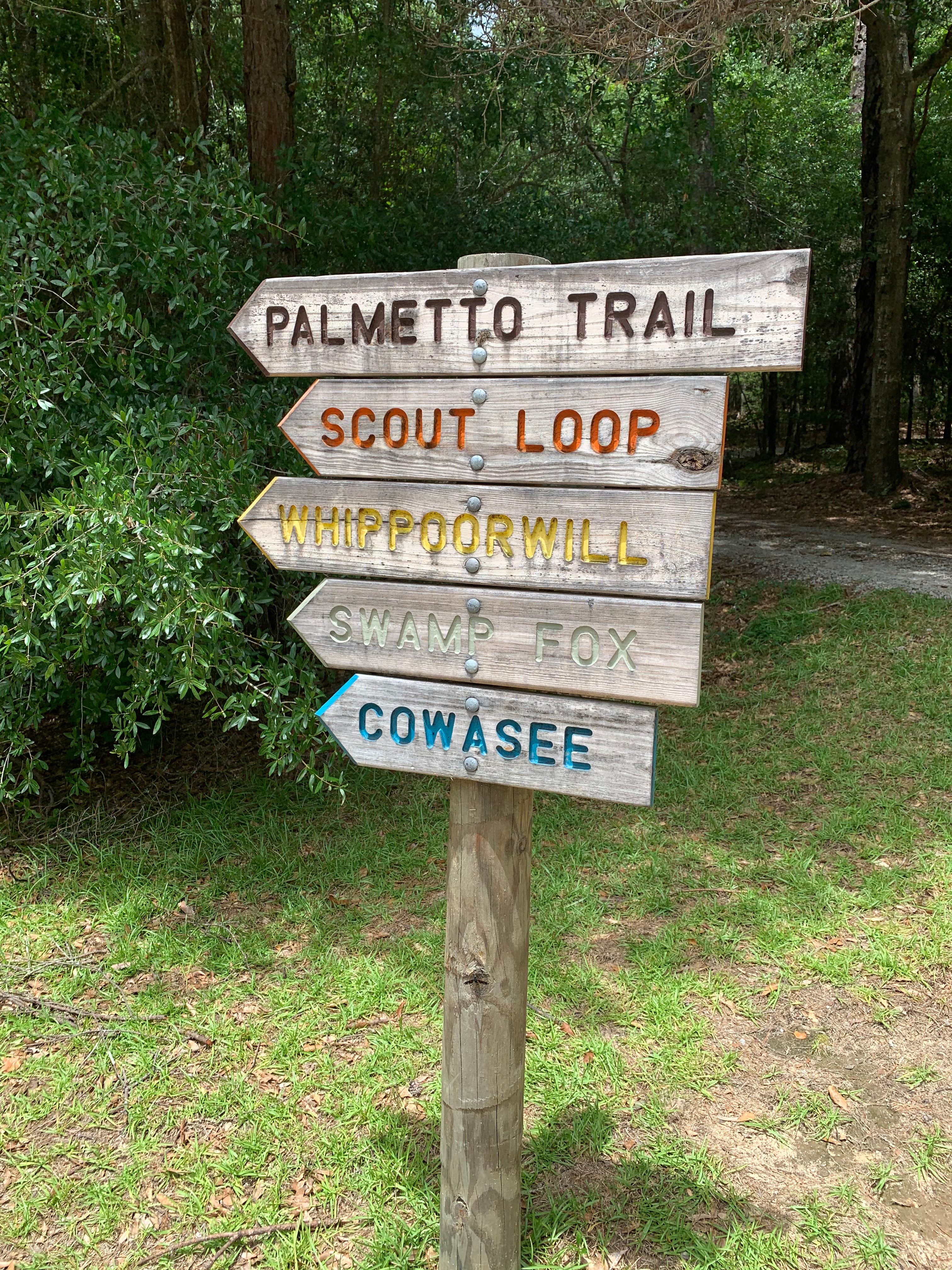 Camper submitted image from Poinsett State Park Campground - 5