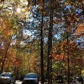 Review photo of Banning State Park Campground by Bryan S., May 17, 2018