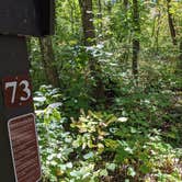 Review photo of Blue Mound State Park Campground by Josh F., September 21, 2020