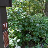 Review photo of Blue Mound State Park Campground by Josh F., September 21, 2020