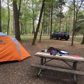 Review photo of Maple Springs Campground — Mammoth Cave National Park by Carrie J., July 8, 2016