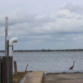 Review photo of Cypress View Campground — Santee State Park by kenneth M., May 17, 2018