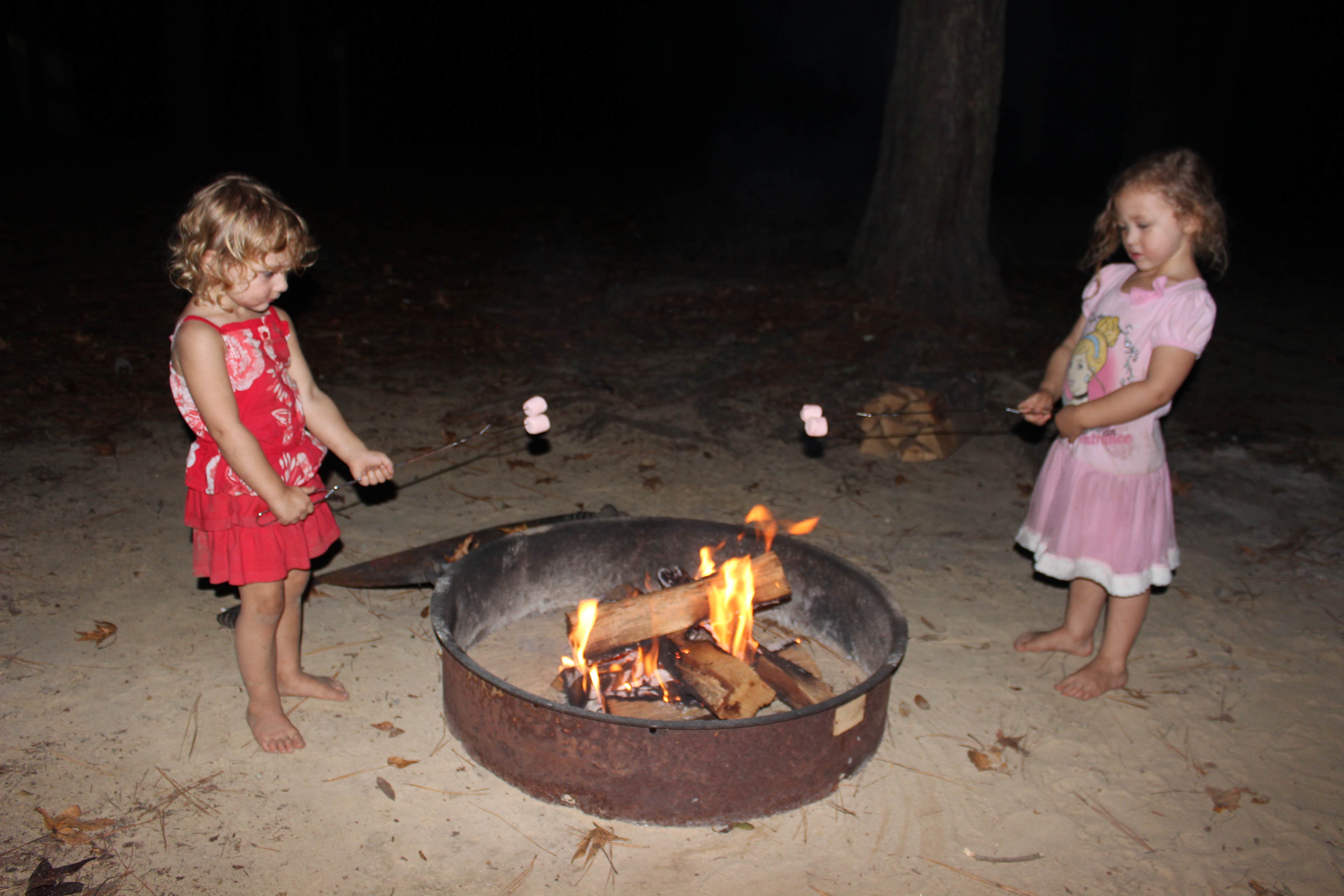 Camper submitted image from Cypress View Campground — Santee State Park - 4