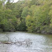 Review photo of Cypress View Campground — Santee State Park by kenneth M., May 17, 2018