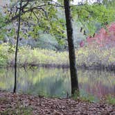 Review photo of Cypress View Campground — Santee State Park by kenneth M., May 17, 2018