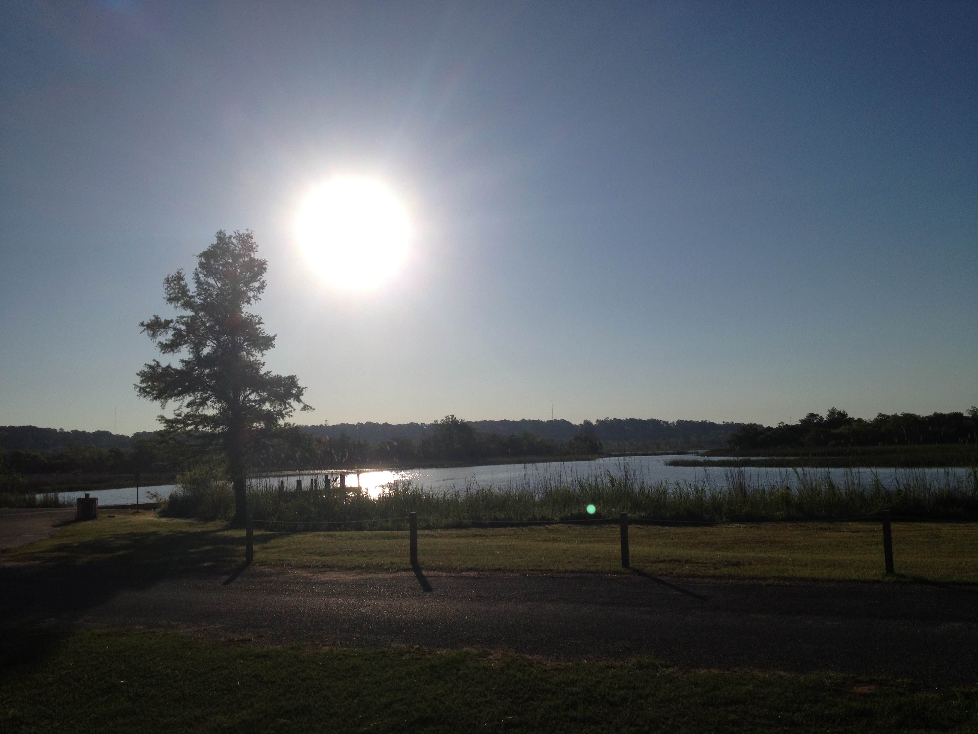 Camper-submitted photo at Meaher State Park Campground near Robertsdale, AL