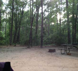 Camper-submitted photo from Chickasabogue Park - Temporarily Closed