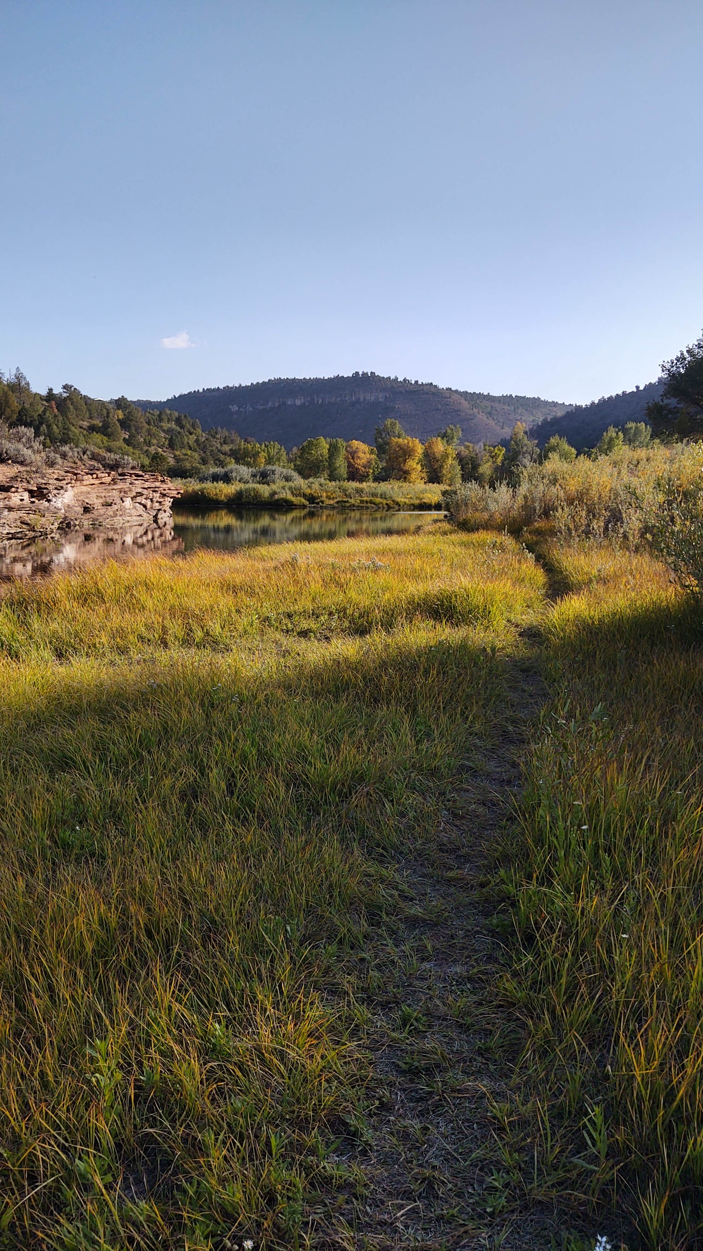 Camper-submitted photo at Bradfield Recreation Site near Dove Creek, CO