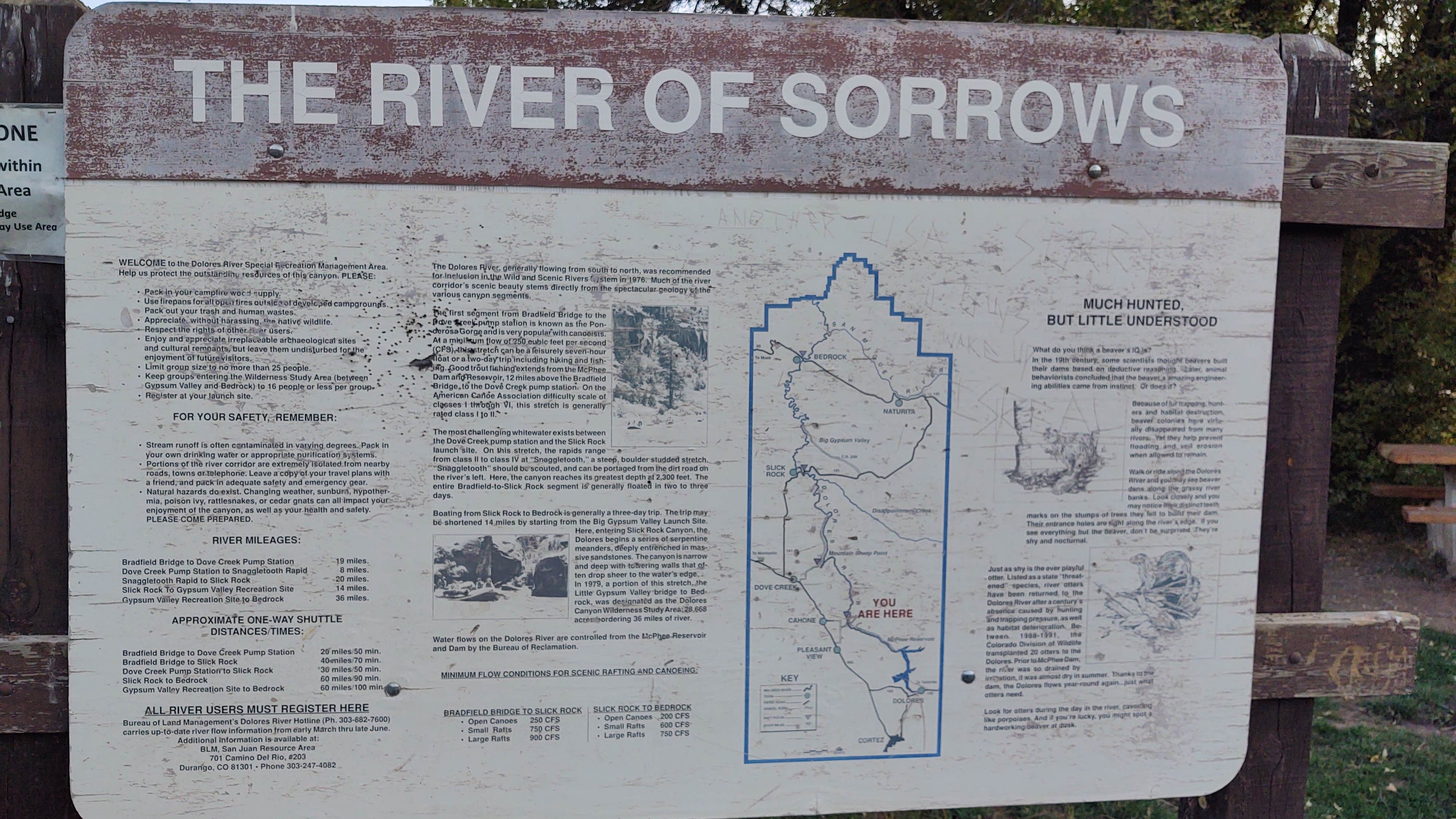 Camper-submitted photo at Bradfield Recreation Site near Dove Creek, CO