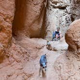 Review photo of Dispersed Campground - goblin valley by Brian C., September 21, 2020