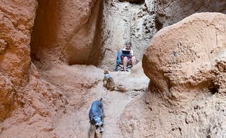 Brian C.'s photo of camping with pets at Dispersed Campground - Goblin Valley near Hanksville, UT