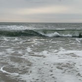 Review photo of Assateague Island National Seashore Campground by Wendy W., September 21, 2020